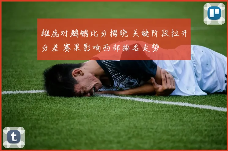 雄鹿对鹈鹕比分揭晓 关键阶段拉开分差 赛果影响西部排名走势