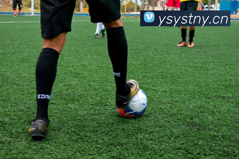 乐鱼官方网站在线登录入口网页服务体系